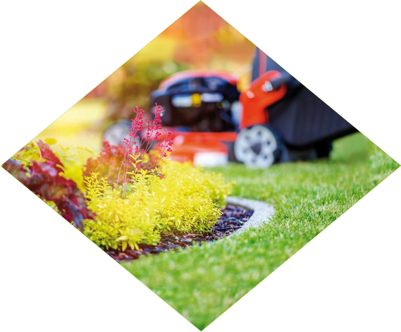 T-4 Kompost w ogrodzie